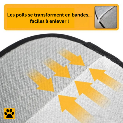 Brosse multi-surface HairCatcher